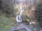Archived image Webcam Triberg (Black Forest): Waterfalls 06:00