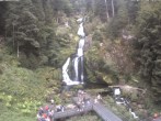 Archived image Webcam Triberg (Black Forest): Waterfalls 13:00