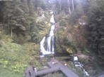 Archived image Webcam Triberg (Black Forest): Waterfalls 17:00