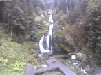 Archiv Foto Webcam Triberg Wasserfälle im Schwarzwald 06:00