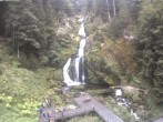 Archiv Foto Webcam Triberg Wasserfälle im Schwarzwald 09:00