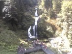 Archiv Foto Webcam Triberg Wasserfälle im Schwarzwald 11:00