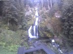 Archiv Foto Webcam Triberg Wasserfälle im Schwarzwald 05:00