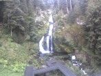 Archiv Foto Webcam Triberg Wasserfälle im Schwarzwald 06:00