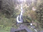 Archiv Foto Webcam Triberg Wasserfälle im Schwarzwald 07:00