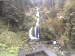 Archiv Foto Webcam Triberg Wasserfälle im Schwarzwald 09:00