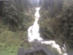 Archiv Foto Webcam Triberg Wasserfälle im Schwarzwald 07:00