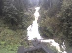 Archiv Foto Webcam Triberg Wasserfälle im Schwarzwald 08:00