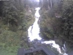 Archiv Foto Webcam Triberg Wasserfälle im Schwarzwald 06:00