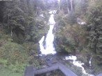 Archiv Foto Webcam Triberg Wasserfälle im Schwarzwald 08:00