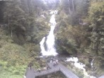 Archiv Foto Webcam Triberg Wasserfälle im Schwarzwald 12:00