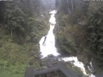 Archiv Foto Webcam Triberg Wasserfälle im Schwarzwald 08:00