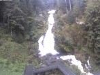 Archived image Webcam Triberg (Black Forest): Waterfalls 08:00