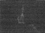 Archiv Foto Webcam Triberg Wasserfälle im Schwarzwald 03:00