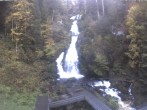 Archiv Foto Webcam Triberg Wasserfälle im Schwarzwald 17:00