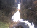 Archiv Foto Webcam Triberg Wasserfälle im Schwarzwald 17:00