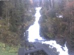 Archiv Foto Webcam Triberg Wasserfälle im Schwarzwald 07:00