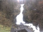Archiv Foto Webcam Triberg Wasserfälle im Schwarzwald 13:00