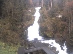 Archiv Foto Webcam Triberg Wasserfälle im Schwarzwald 06:00