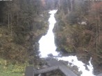 Archived image Webcam Triberg (Black Forest): Waterfalls 07:00