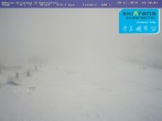 Archived image Webcam Silbersattel Steinach Bergstation 842m a.s.l. 13:00