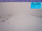 Archived image Webcam Silbersattel Steinach Bergstation 842m a.s.l. 15:00