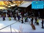 Archiv Foto Webcam Silbersattel Steinach 11:00