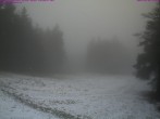 Archived image Webcam Großer Inselsberg, Thuringian Forest 09:00