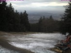 Archiv Foto Webcam Großer Inselsberg im Thüringer Wald 11:00