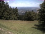 Archiv Foto Webcam Großer Inselsberg im Thüringer Wald 11:00