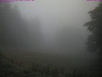 Archived image Webcam Großer Inselsberg, Thuringian Forest 07:00