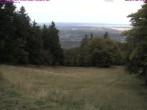 Archived image Webcam Großer Inselsberg, Thuringian Forest 13:00