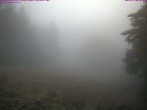 Archiv Foto Webcam Großer Inselsberg im Thüringer Wald 07:00