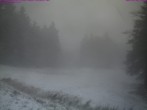 Archived image Webcam Großer Inselsberg, Thuringian Forest 09:00