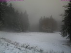 Archived image Webcam Großer Inselsberg, Thuringian Forest 11:00