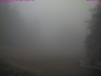 Archiv Foto Webcam Großer Inselsberg im Thüringer Wald 11:00