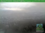 Archiv Foto Webcam Friedrichroda, Thüringer Wald 08:00