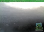 Archiv Foto Webcam Friedrichroda, Thüringer Wald 08:00