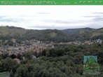 Archiv Foto Webcam Friedrichroda, Thüringer Wald 11:00