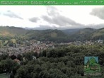 Archiv Foto Webcam Friedrichroda, Thüringer Wald 11:00