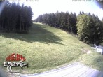 Archived image Webcam Base station of Erlbach-Kegelberg 09:00