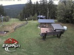 Archiv Foto Webcam Bergstation Erlbach-Kegelberg 11:00
