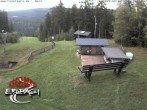 Archiv Foto Webcam Bergstation Erlbach-Kegelberg 11:00