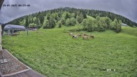Archiv Foto Webcam Balderschwang: Einkehr Schelpenalp 07:00