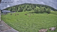 Archiv Foto Webcam Balderschwang: Einkehr Schelpenalp 09:00