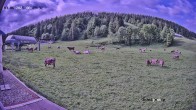 Archiv Foto Webcam Balderschwang: Einkehr Schelpenalp 07:00