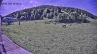 Archiv Foto Webcam Balderschwang: Einkehr Schelpenalp 09:00