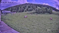 Archiv Foto Webcam Balderschwang: Einkehr Schelpenalp 15:00