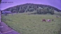 Archiv Foto Webcam Balderschwang: Einkehr Schelpenalp 07:00