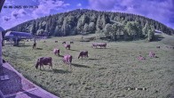 Archiv Foto Webcam Balderschwang: Einkehr Schelpenalp 07:00